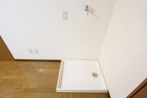 画像 293
