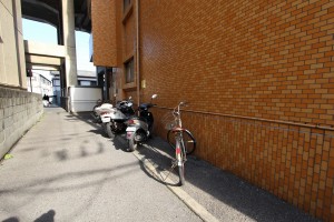 s-IMG_8937