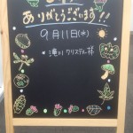 秋の装い
