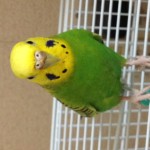 ☆独り言が多いんです…【高松　賃貸　サンフラワー店】
