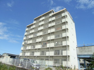 RIMG0241