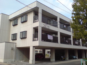 SN383999