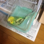 ■お気に入りの場所