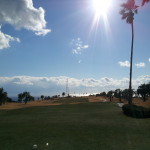 今年は1月4日　本日より営業させていただきます。　